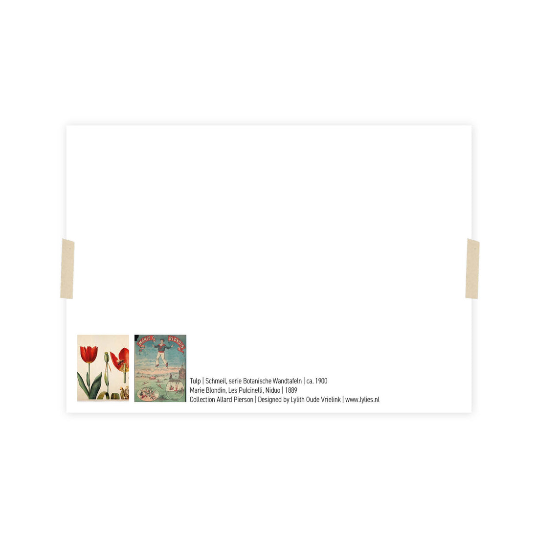 Postcard collage Allard Pierson collectie - Acrobaat tulp