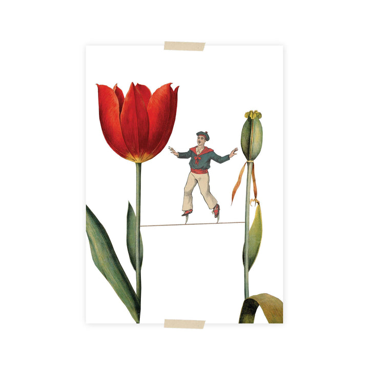 Postcard collage Allard Pierson collectie - Acrobaat tulp