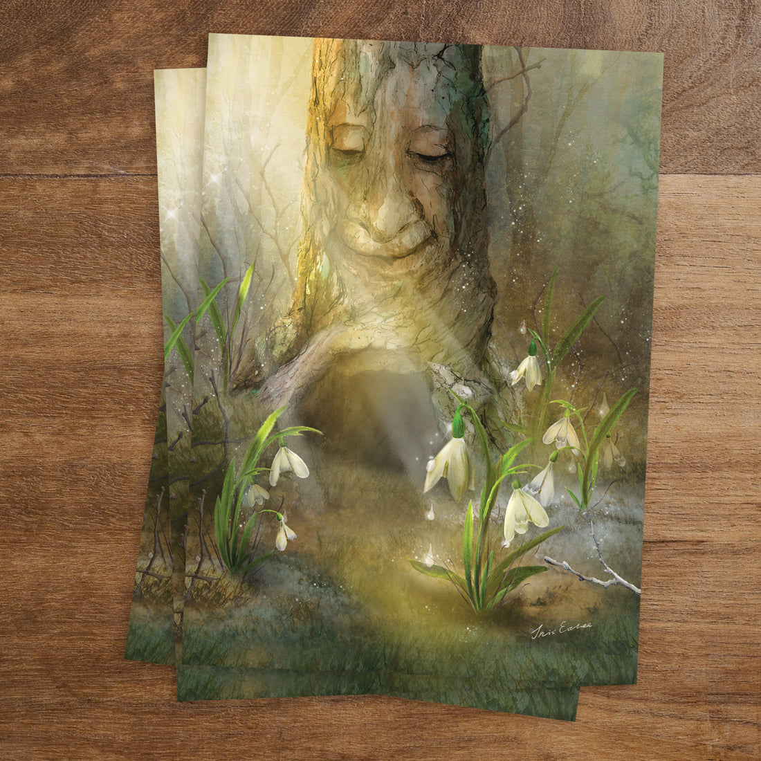 Snowdrops | Kaart Iris Esther