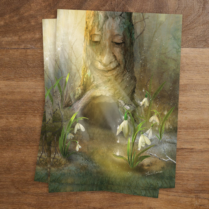 Snowdrops | Kaart Iris Esther