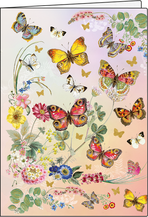 Kolibri| Schriftausgabe Gollong