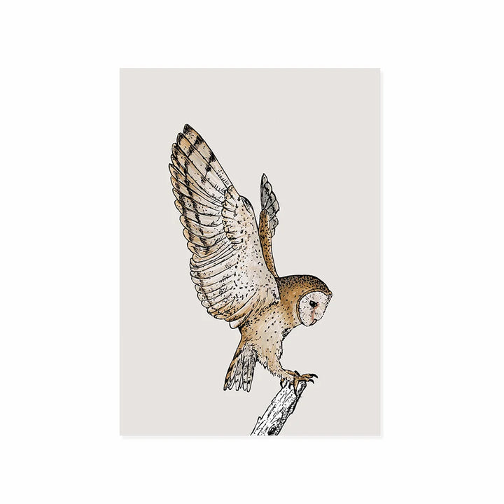 Uil | Kaart Kaartstudio