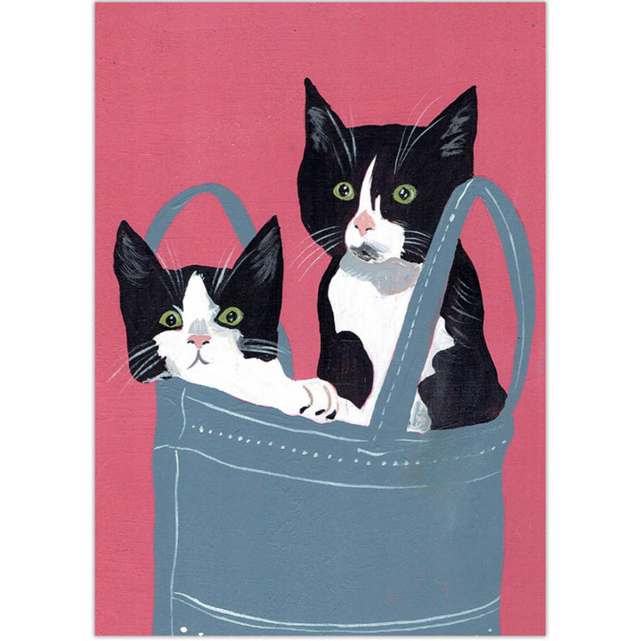 Cats in a Bag | Kaart Inkognito