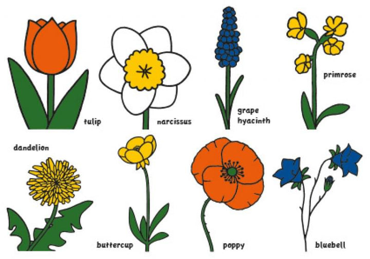 Nijntje: Bloemen | Kaart Nijntje