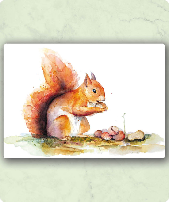 Eichhörnchen | Karte Veer