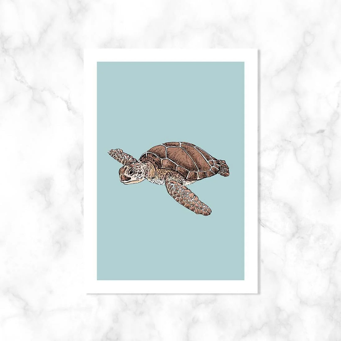 Zeeschildpad| Kaart Kaartstudio