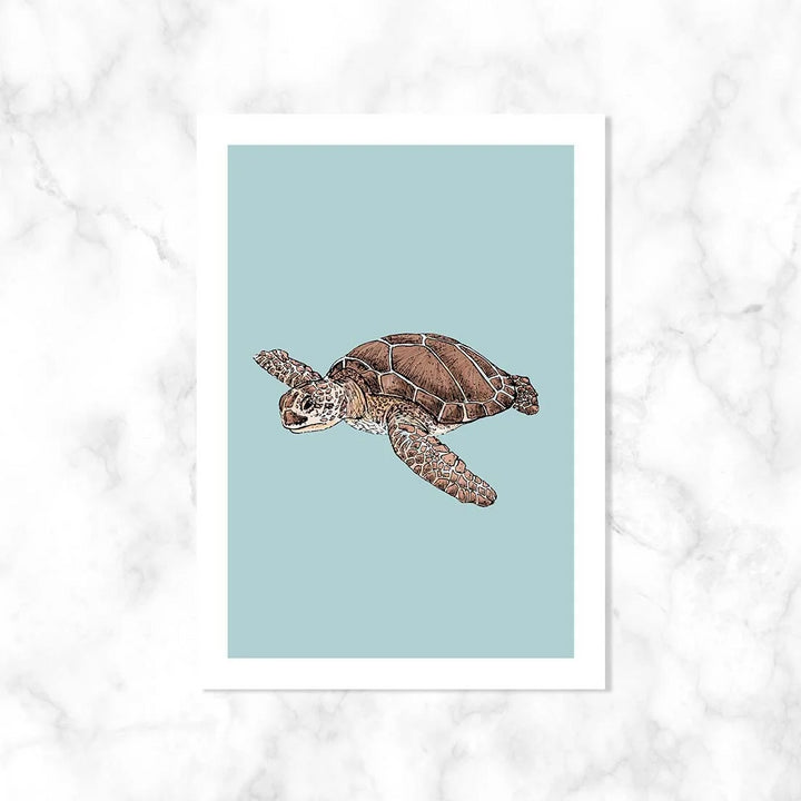 Zeeschildpad| Kaart Kaartstudio