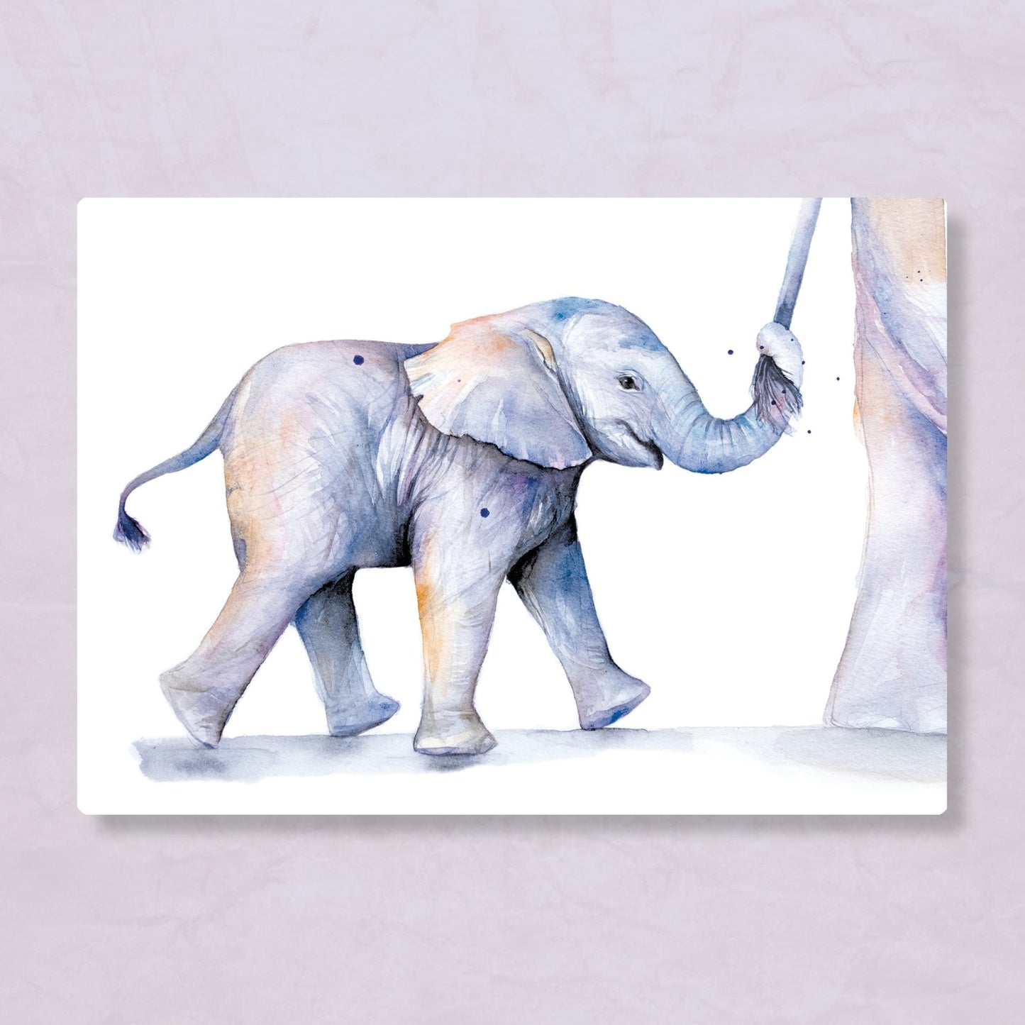 Olifant | Veer
