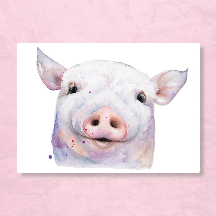 Schwein |. Feder