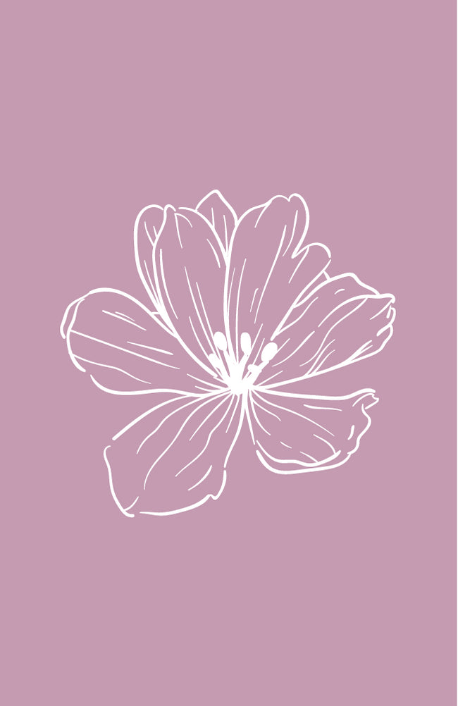 Blume verblasst rosa | Minikarte Blooming-Kollektion Fripperies