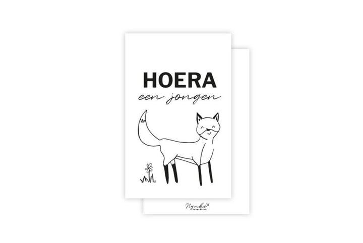 Minikaart | Hoera een jongen