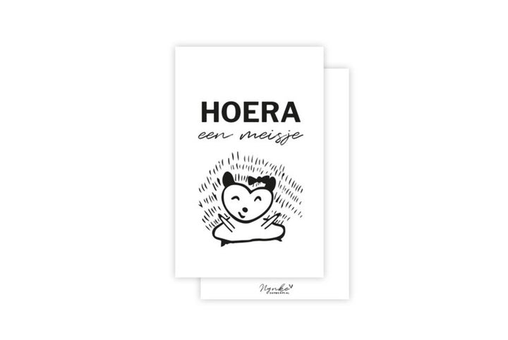 Minikaart | Hoera een meisje