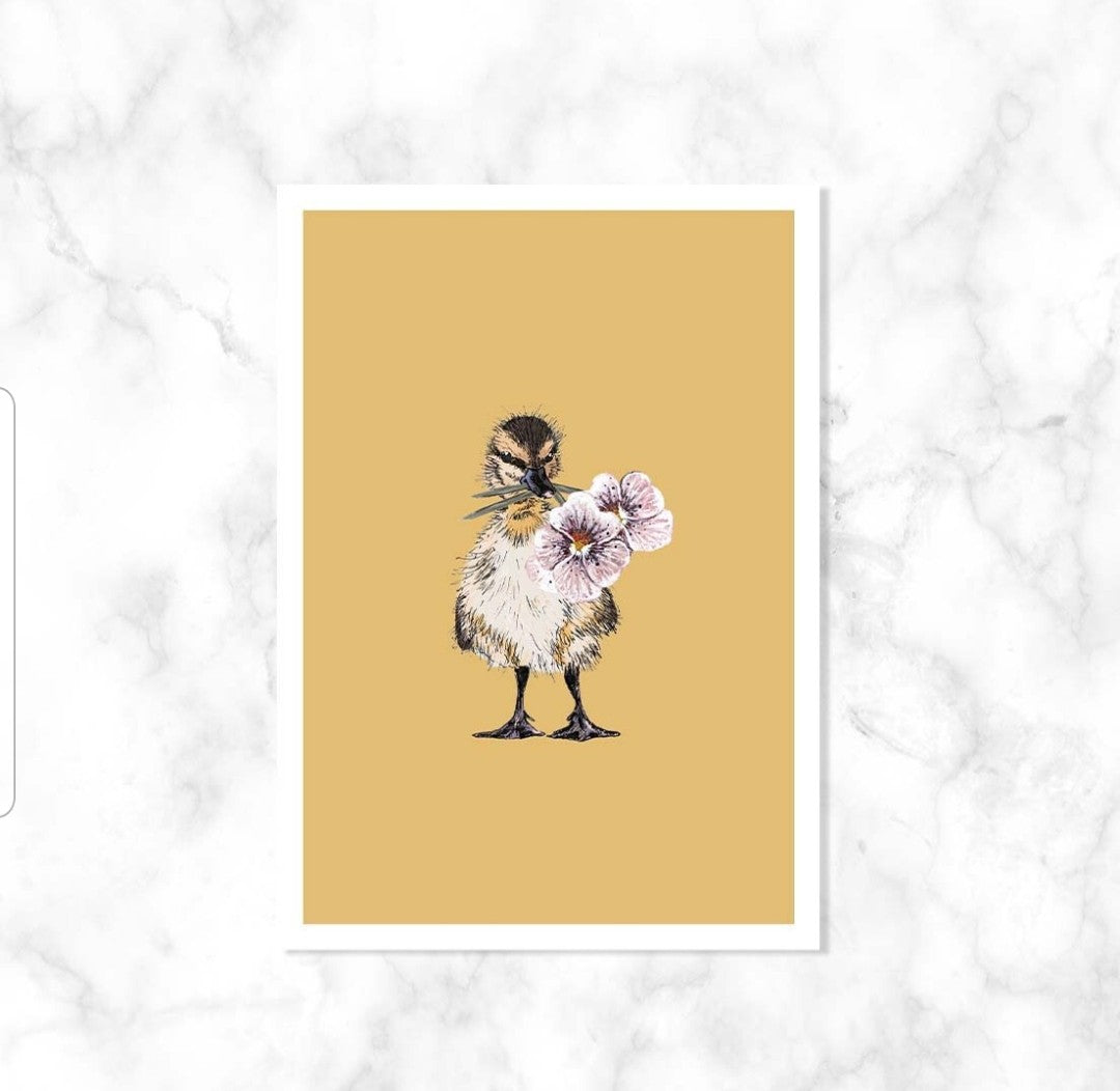 Lente eend| Kaartstudio