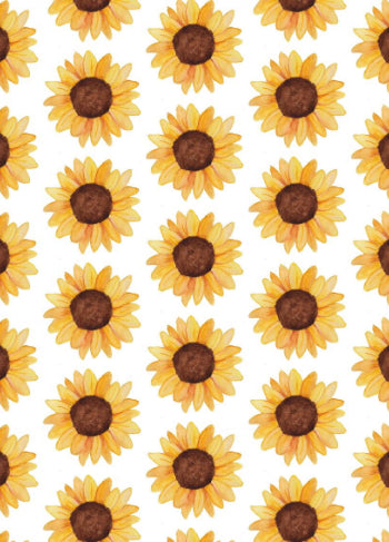 Zonnebloemen | Postkaart FRITSY
