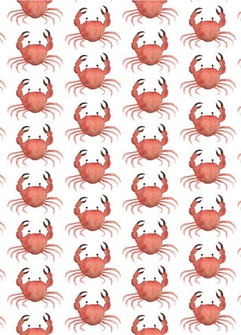 Krab | Postkaart FRITSY