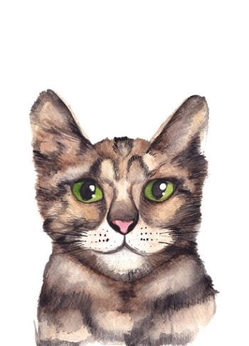 Kat | Postkaart FRITSY