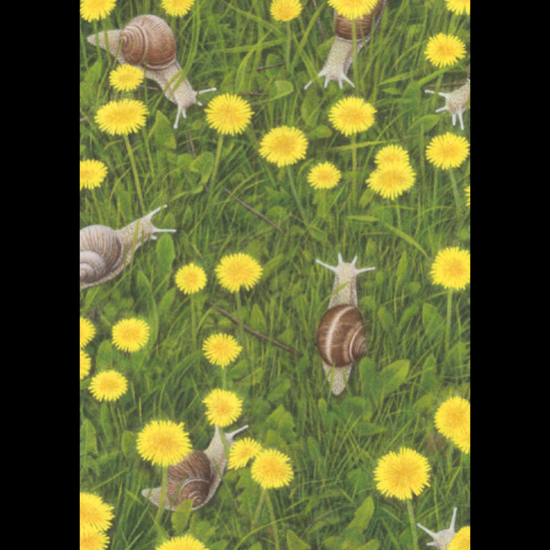 Slakken in gras| Kaart Inkognito