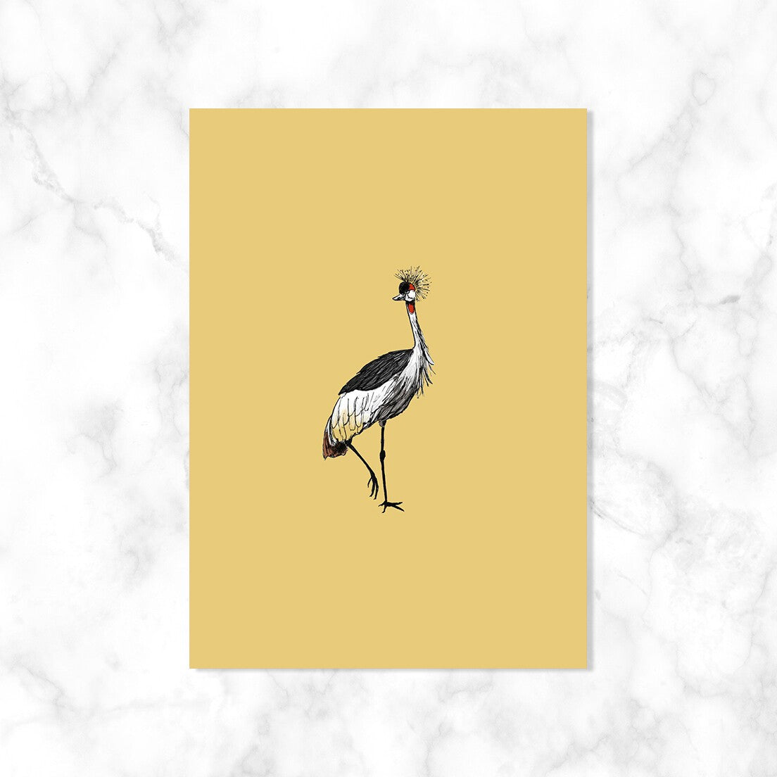 Kraanvogel| Kaartstudio
