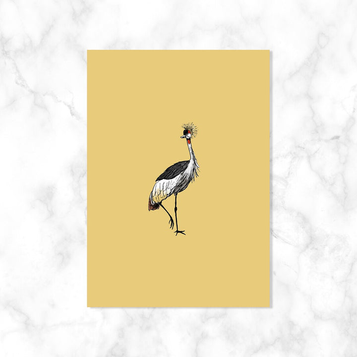 Kraanvogel| Kaartstudio
