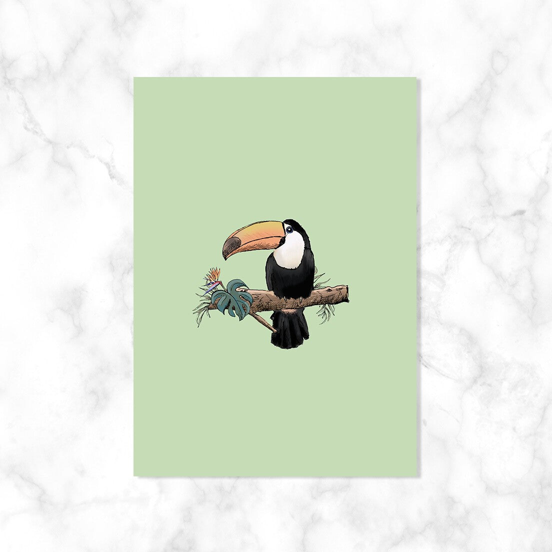Toekan| Kaartstudio