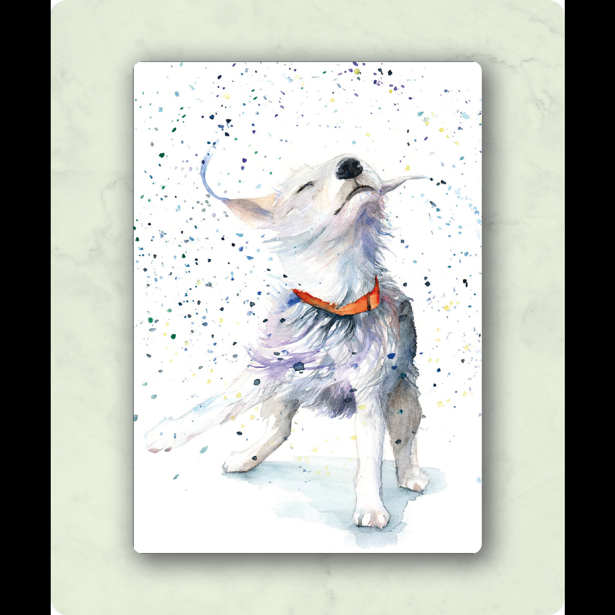 Natte hond| Veer