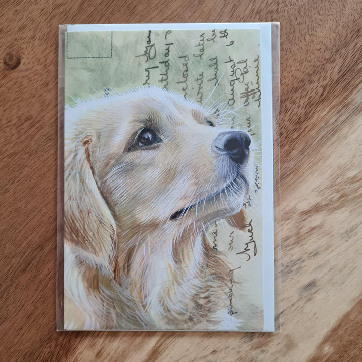 Golden Retriever | Dubbele kaart Meander