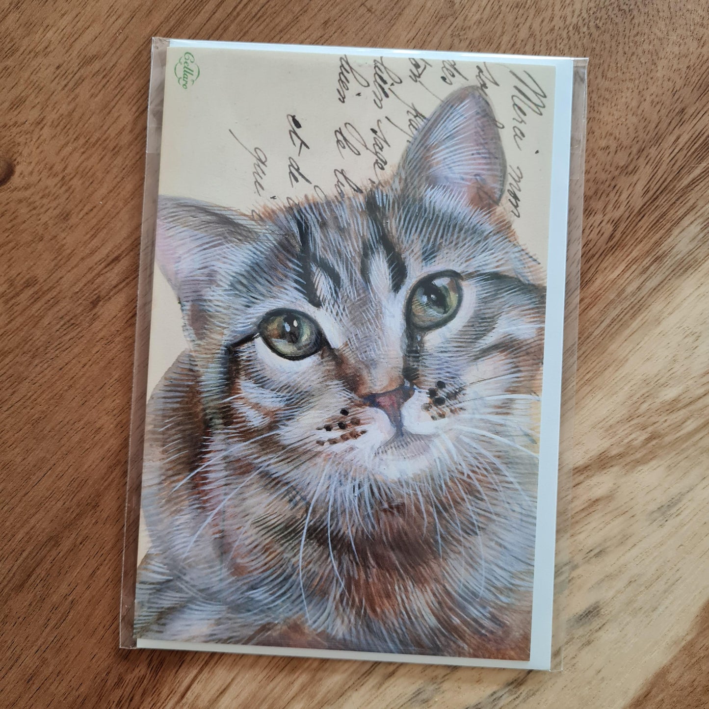 Kat| Dubbele kaart Meander