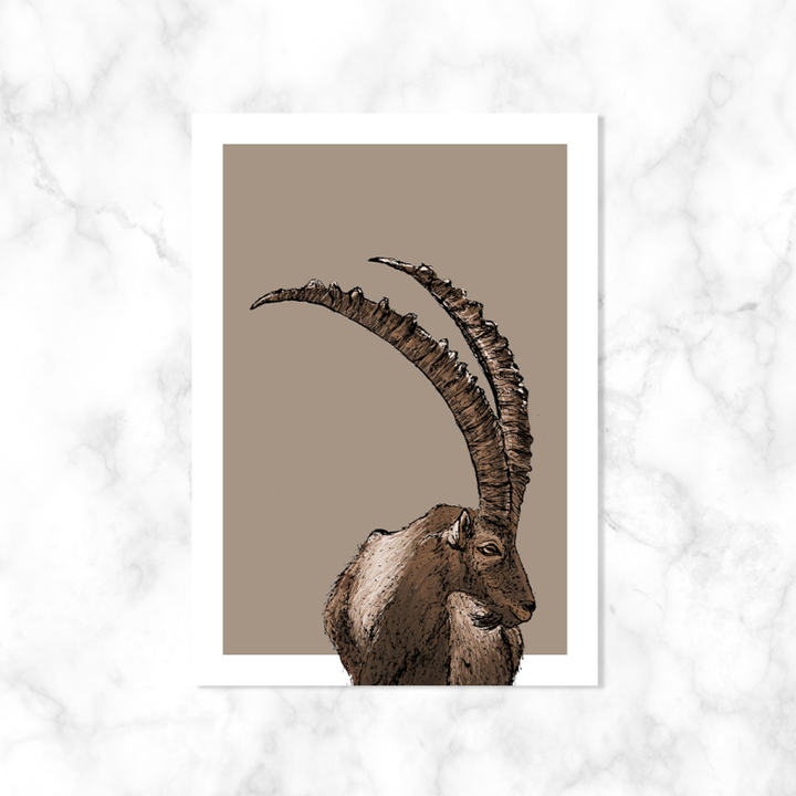 Steenbok | Kaartstudio