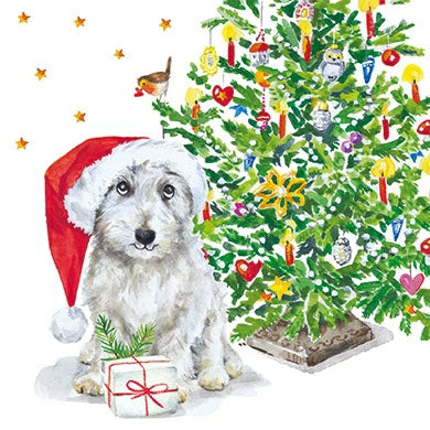 Hond bij dennenboom | Kaart Carola Pabst