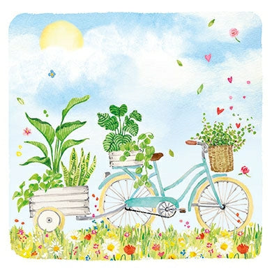 Fiets | Kaart Carola Pabst