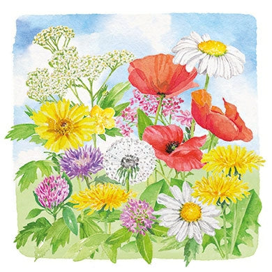 Zomerbloemen | Kaart Carola Pabst