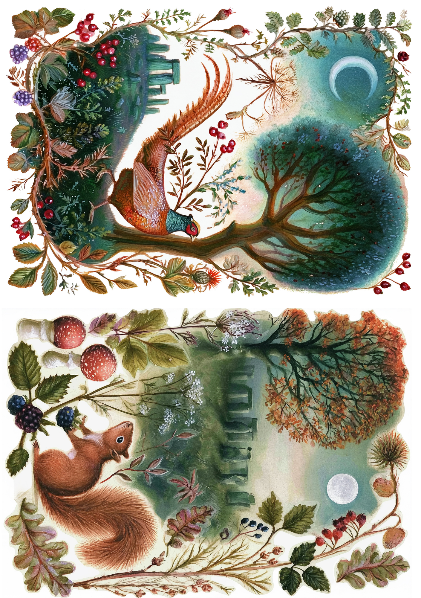 Nature | Creative Paper Set Fripperies