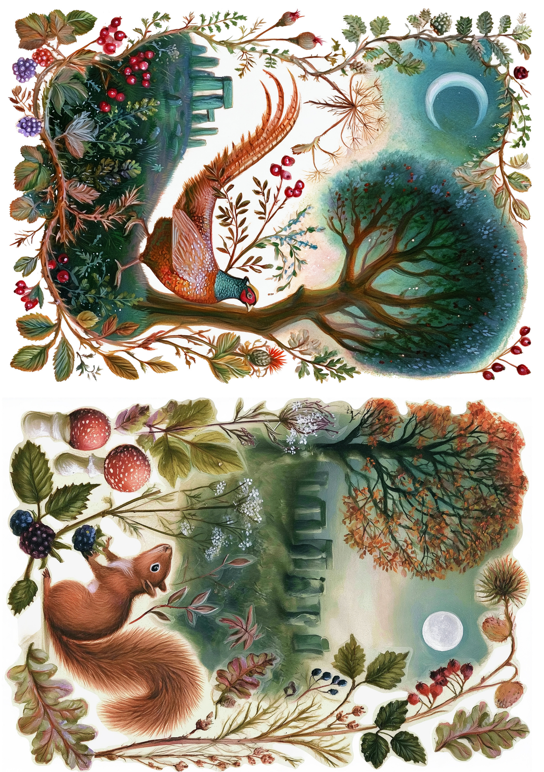 Nature | Creative Paper Set Fripperies