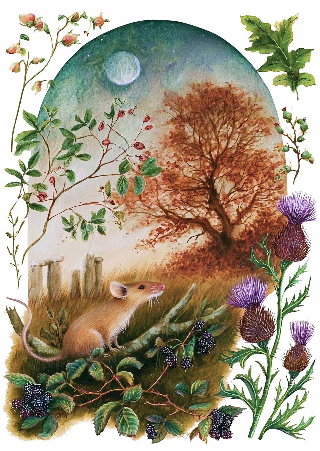 Stonehenge Nature: Muis | Kaart Fripperies