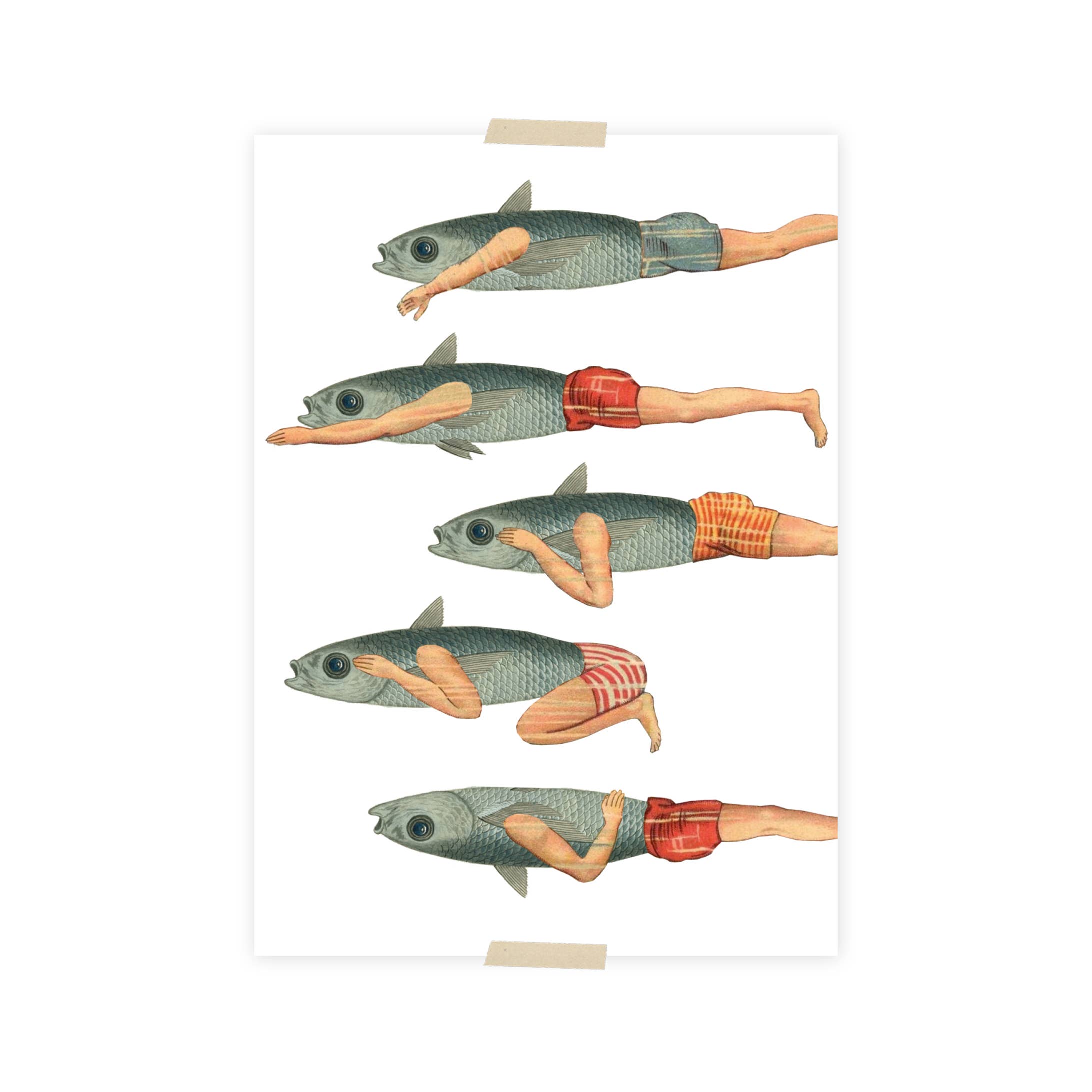 Postcard collage zwemmende visjes met zwembroekjes
