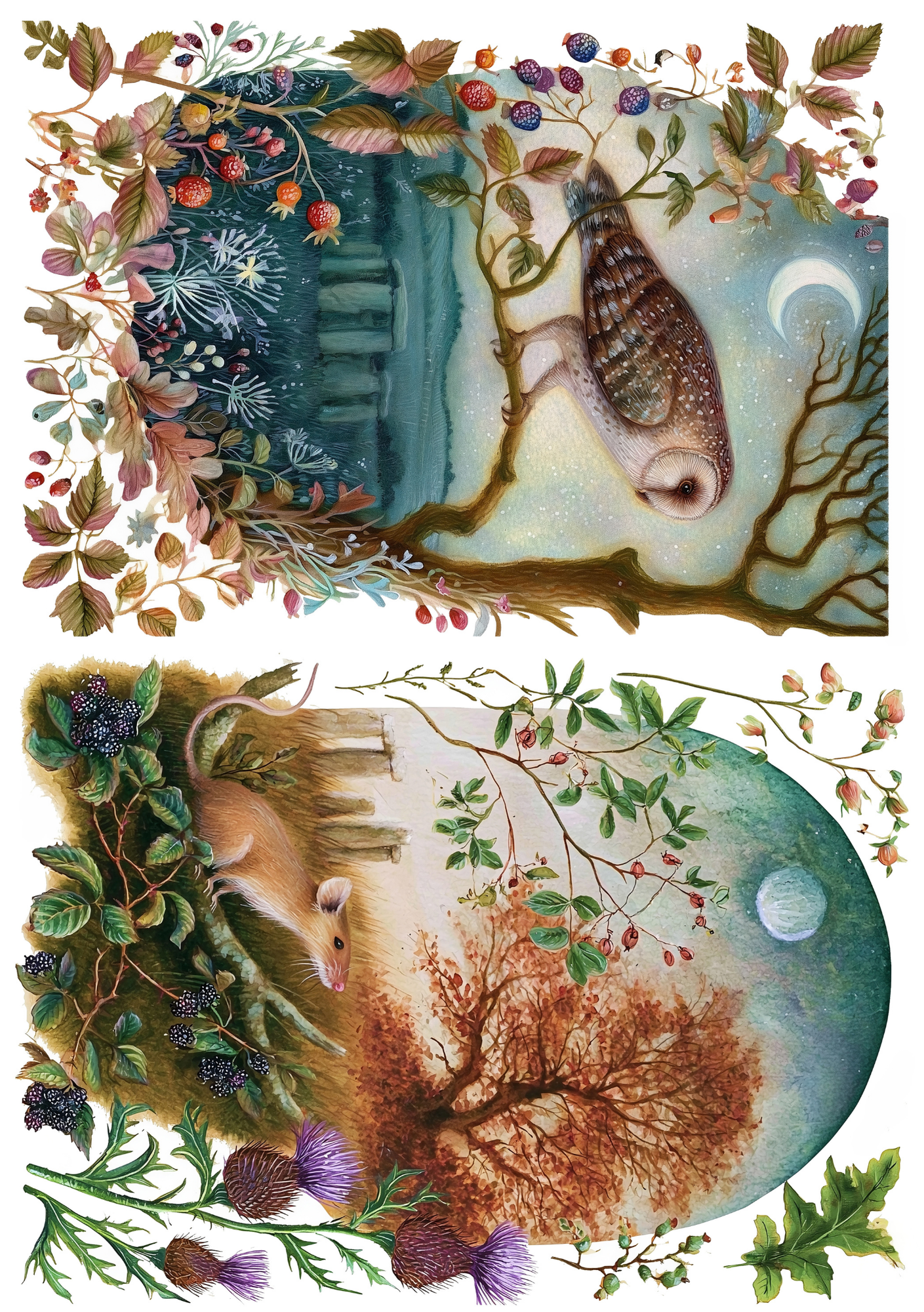 Nature | Creative Paper Set Fripperies