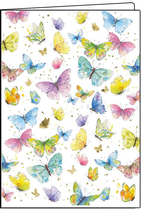 Kolibri| Schriftausgabe Gollong