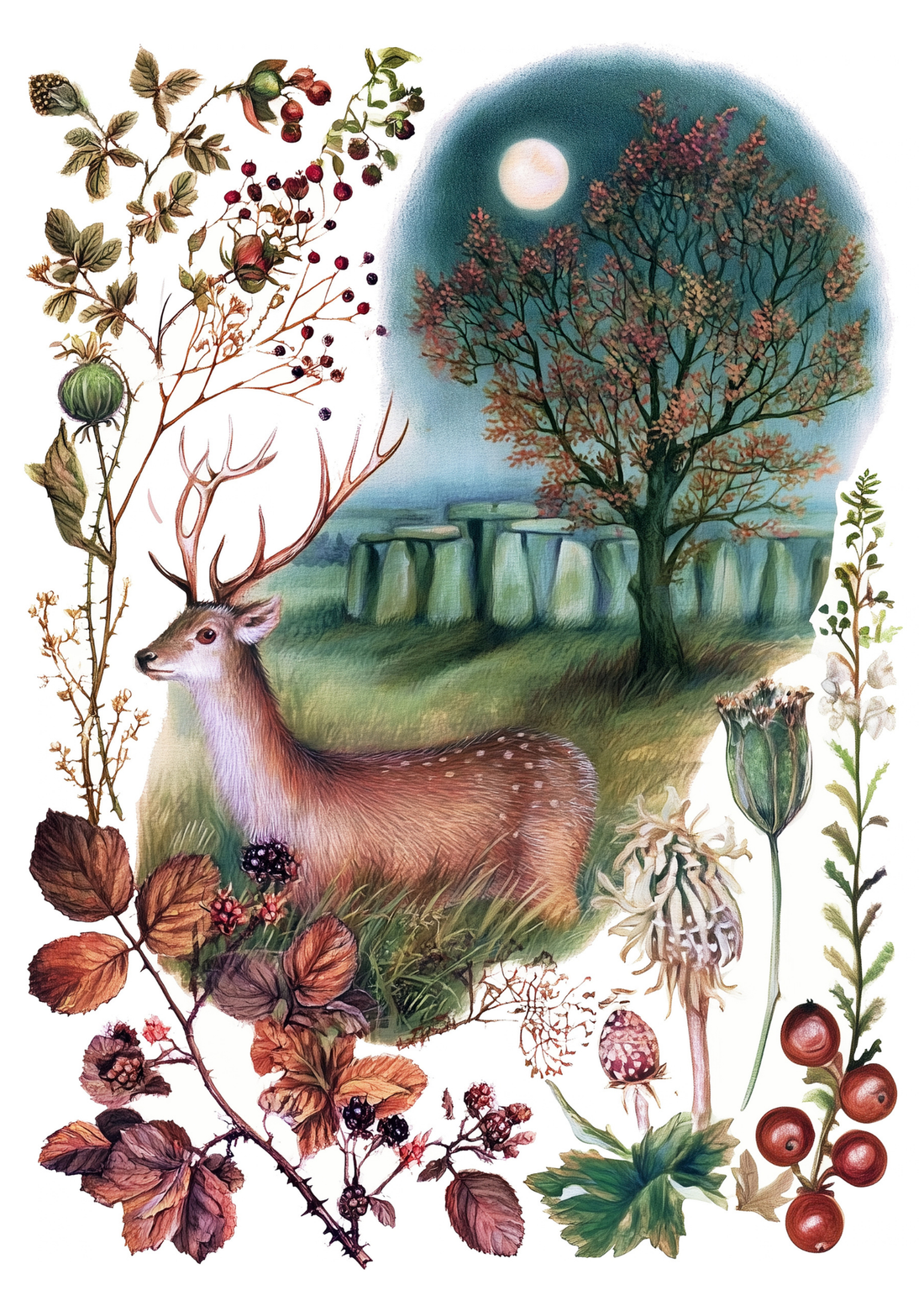 Nature | Creative Paper Set Fripperies