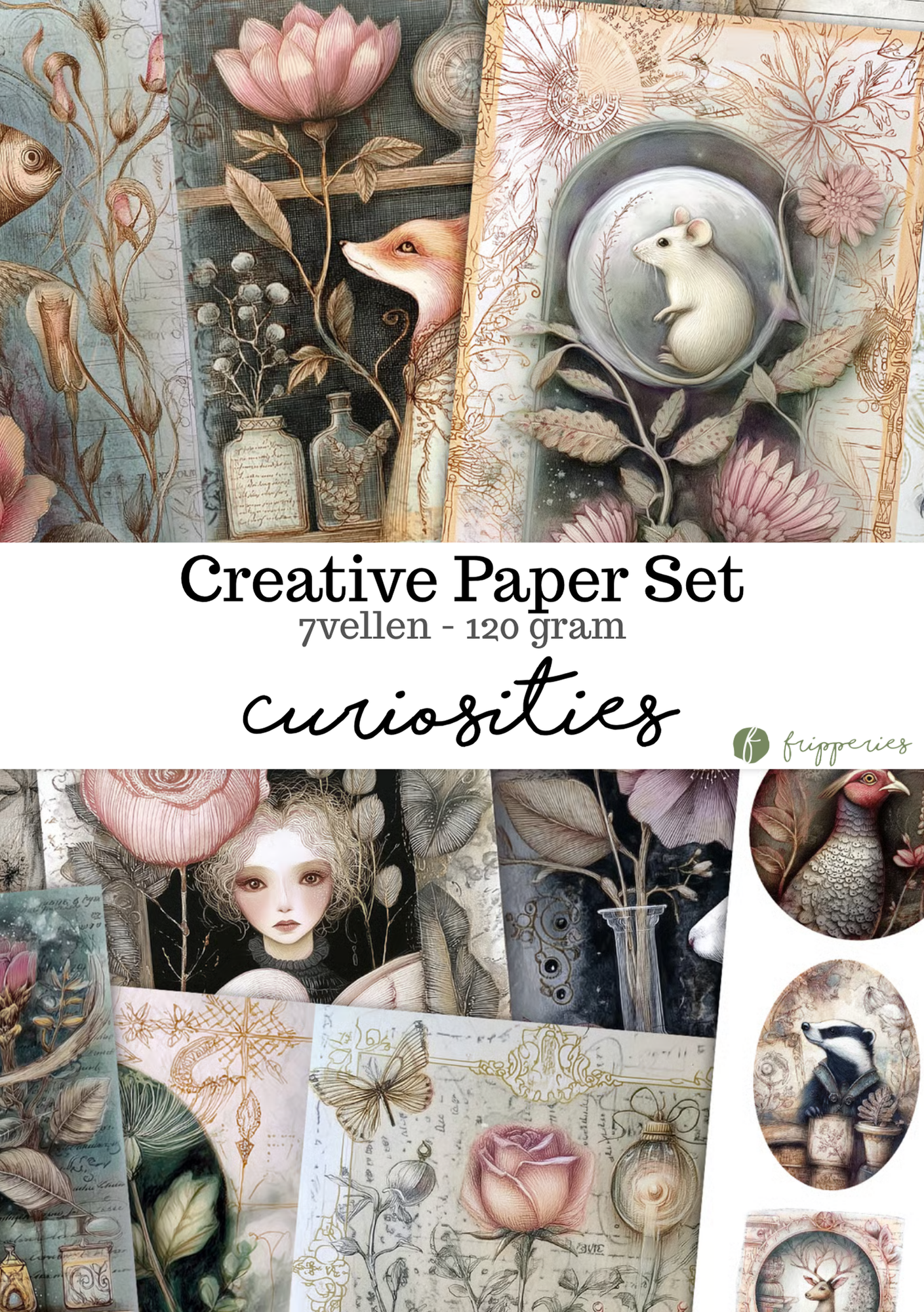 Curiosities | Creative Paper Set Fripperies