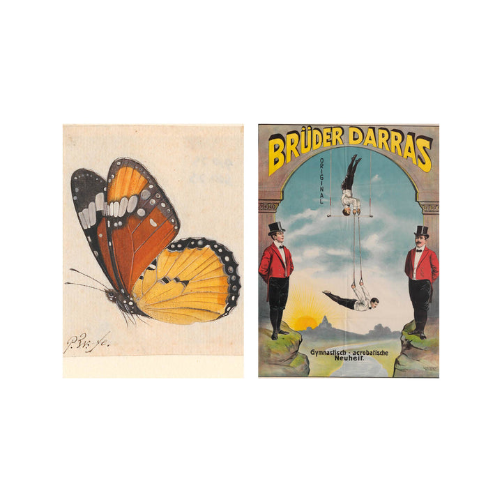 Postcard collage Allard Pierson collectie - Vlinderman