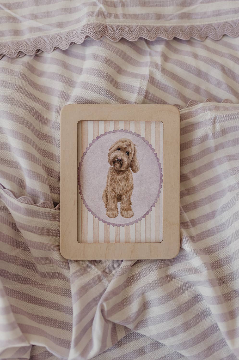 Ansichtkaart labradoodle | Kaart Appeloogje