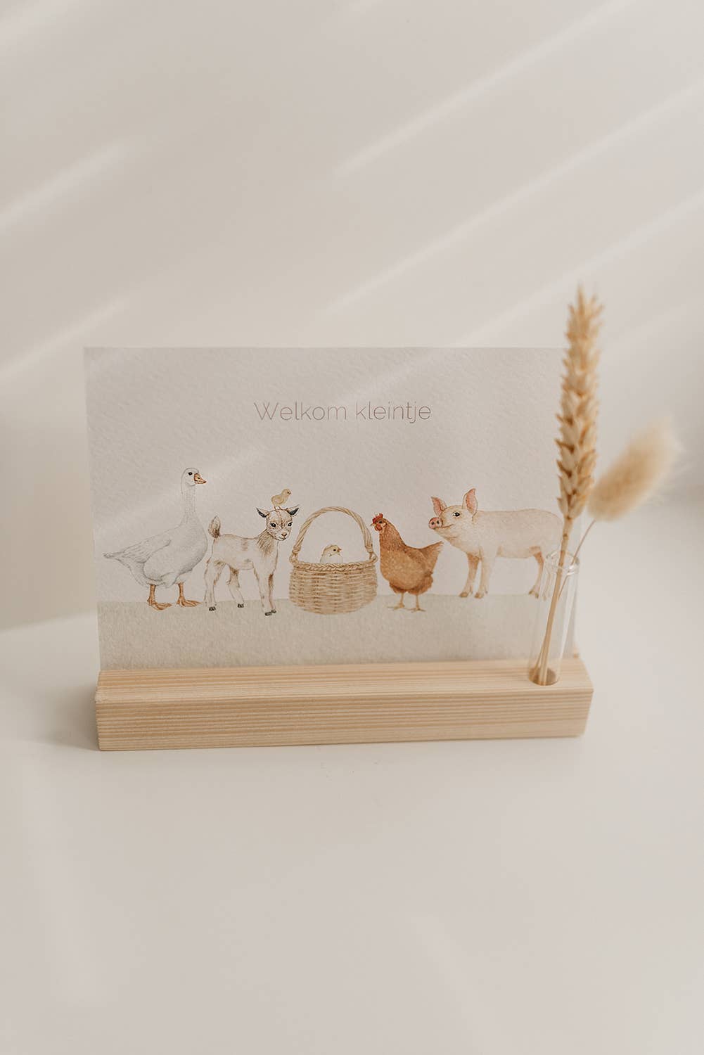 Ansichtkaart Welkom kleintje | Kaart Appeloogje