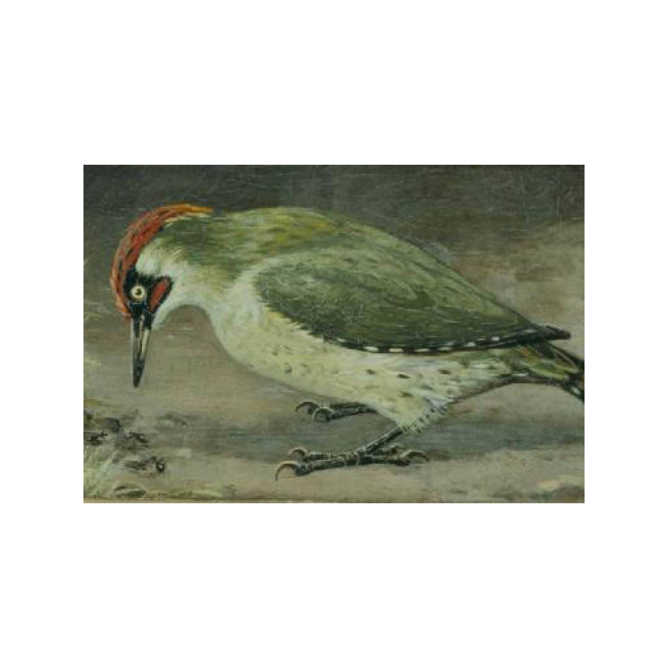 Postcard collage Zaans Museum - Specht