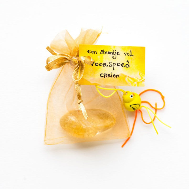 Steentje vol voorspoed