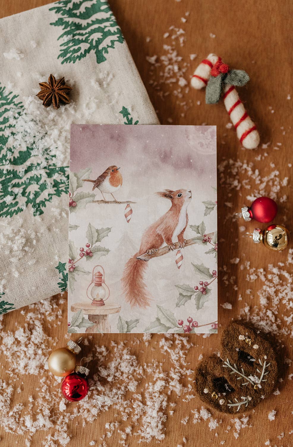 Ansichtkaart eekhoorn met roodborstje | Kaart Appeloogje