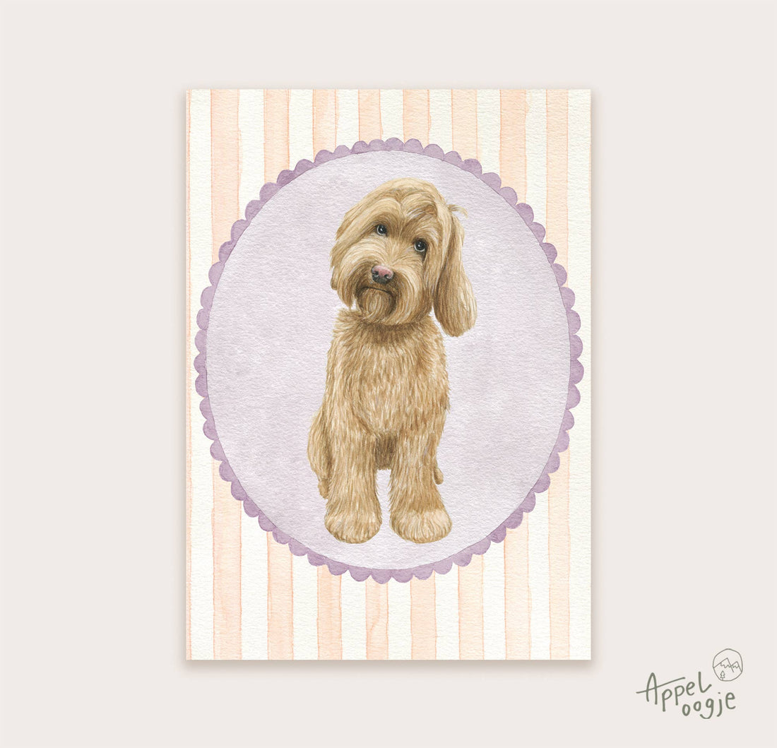 Ansichtkaart labradoodle | Kaart Appeloogje