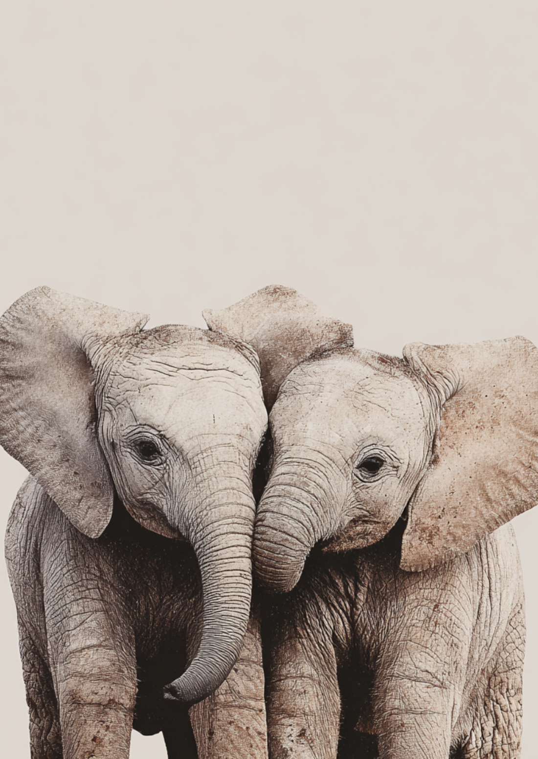 Side by Side: Elephants | Kaart Fripperies