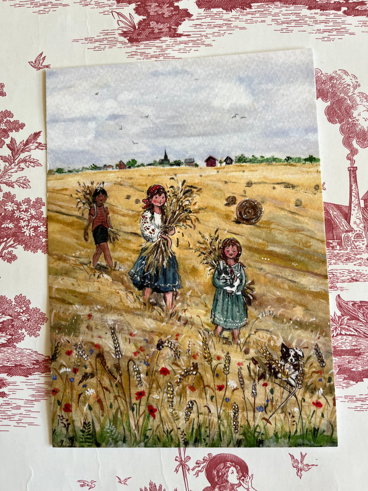 Gouden velden | Kaart Gwen van Knippenberg