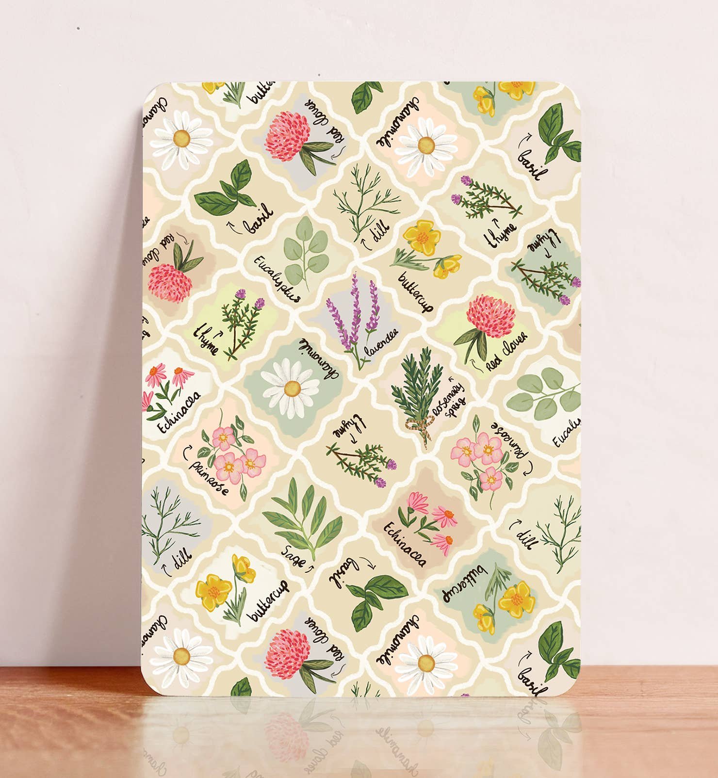 Kaart kruiden planten botanisch bloemen zomaar | Kaart Aniet Illustration