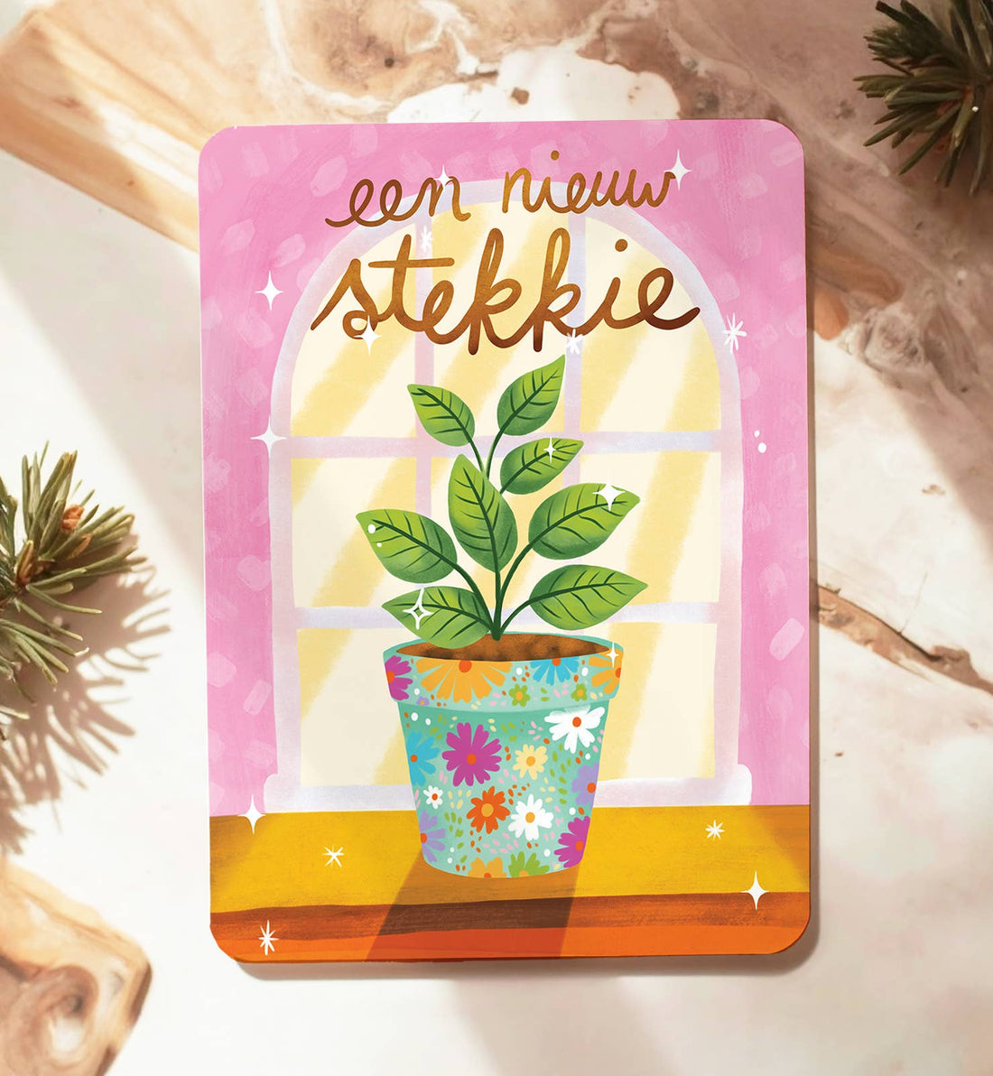 Kaart felicitatie nieuwe woning stekkie roze ansichtkaart